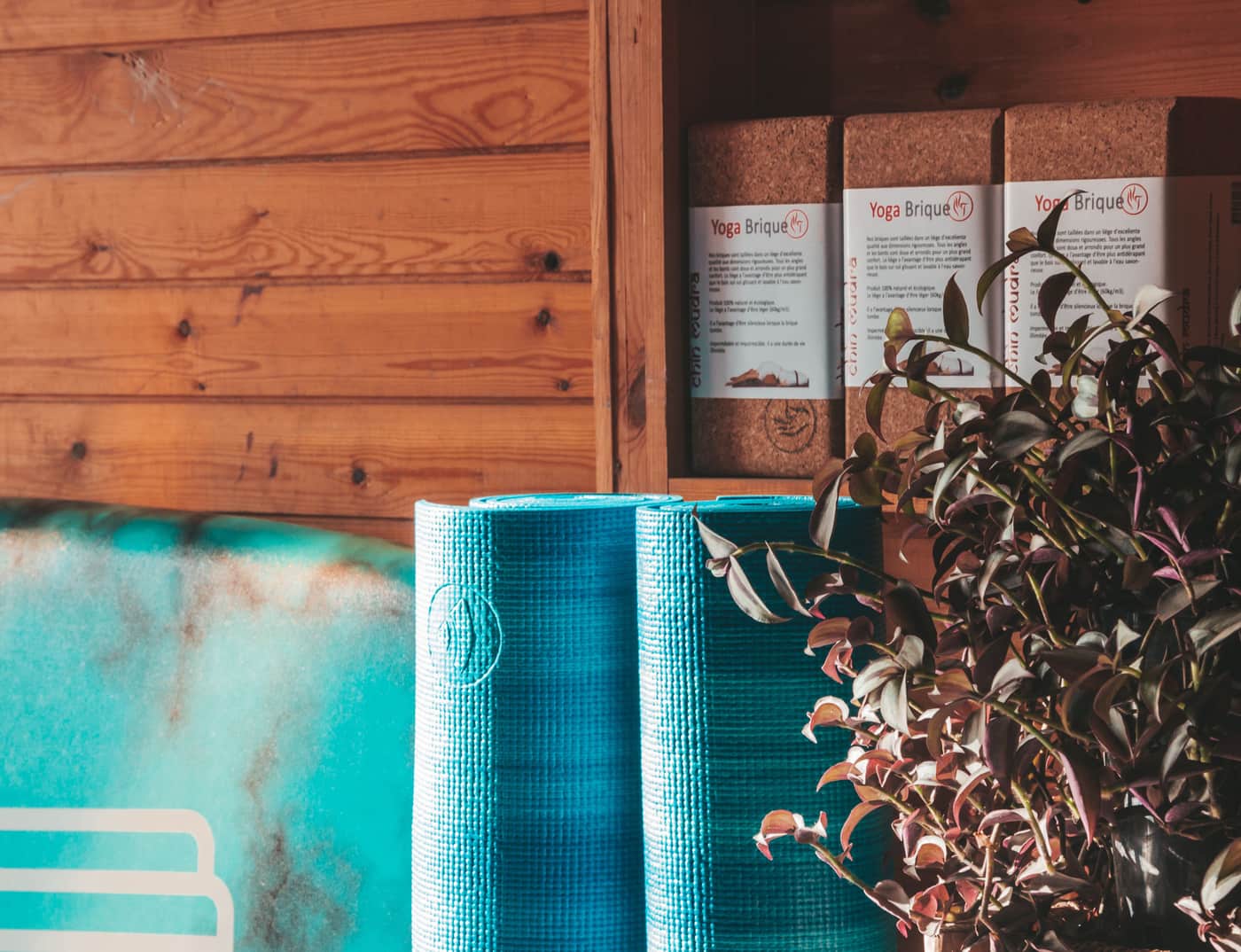 A studio corner with mats, cork bricks and leafy plants