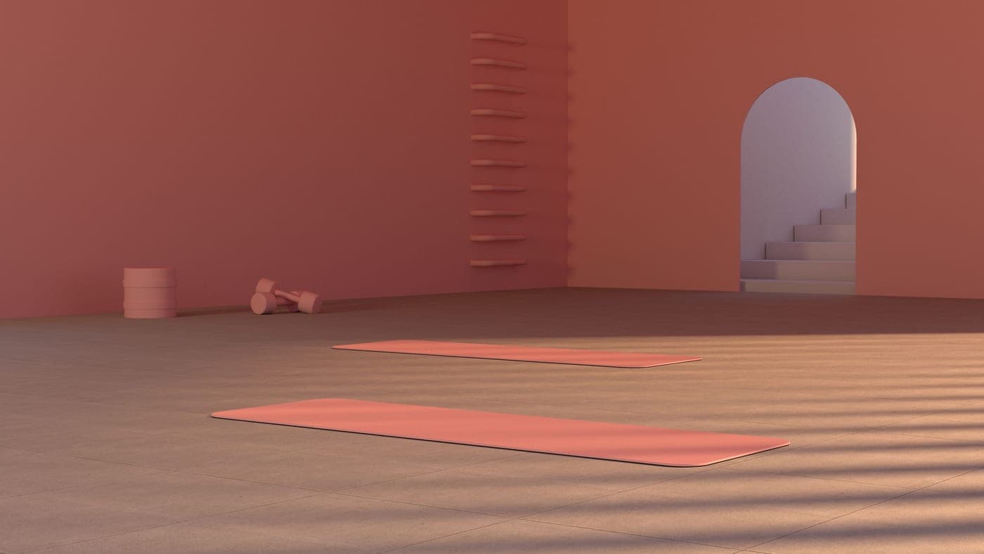 An empty studio with two mats laid out on the floor