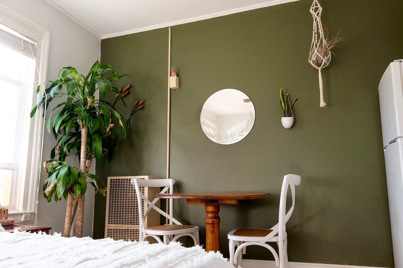A compact apartment interior with a potted tree and a small table